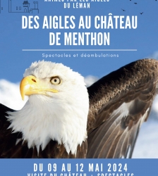 Spectacles "des aigles au château de Menthon"