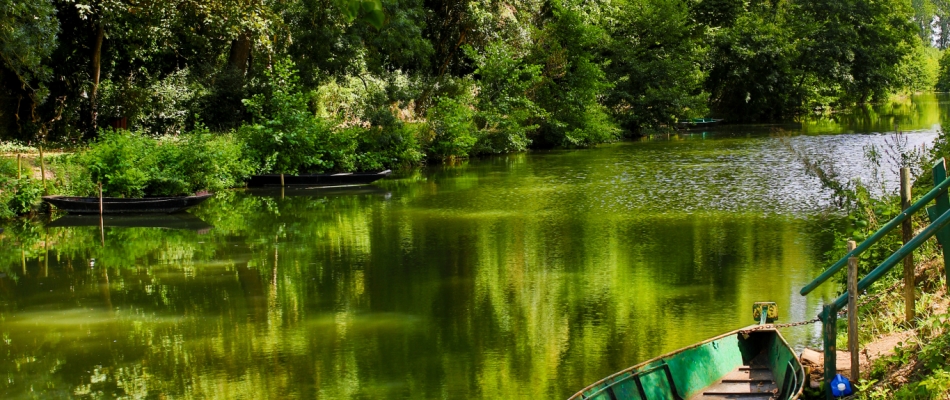 Marais poitevin : cinquante nuances de vert - Minizap Nord-Isère