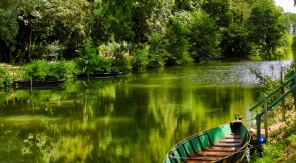 Marais poitevin : cinquante nuances de vert