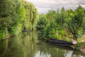 Les eaux vertes du marais poitevin distillent une atmosphère étrange, presque magique.