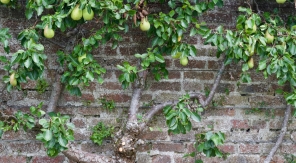 Sous-estimer la chaleur emmagasinée par un mur