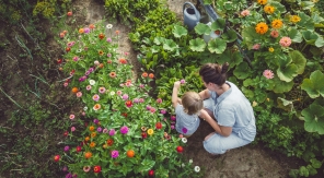 Fleurir le potager en été, c'est beau, c'est bon et c'est utile