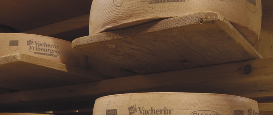 Le vacherin fribourgeois, un caractère bien trempé - Minizap Annecy