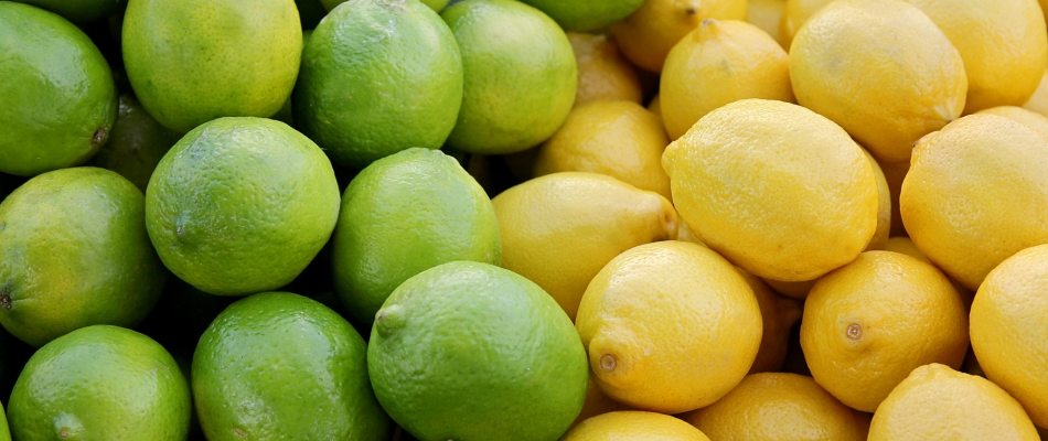 Citron jaune et citron vert, quelles différences ? - Minizap Nord-Isère