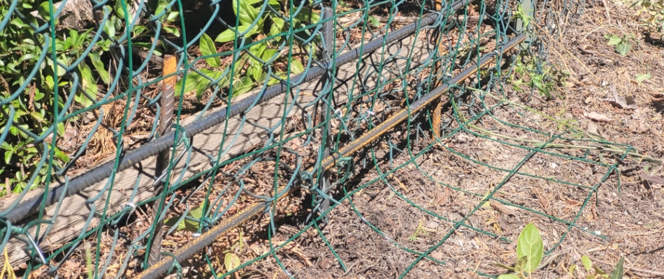 Renforcer le grillage contre les fugues de chien - Minizap Nord-Isère