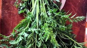 Que faire avec des fanes de carottes ?