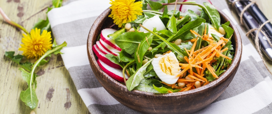 Cuisiner les pissenlits - Minizap Chambery