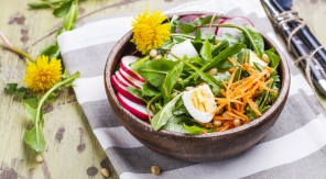 Cuisiner les pissenlits