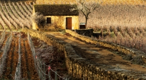 Crémant, toute une histoire