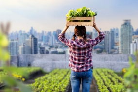 Alors qu'un Français sur deux souhaite avoir un accès facilité aux produits locaux, les potagers citadins pourraient se multiplier.