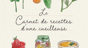 Les recettes de ma cueillette