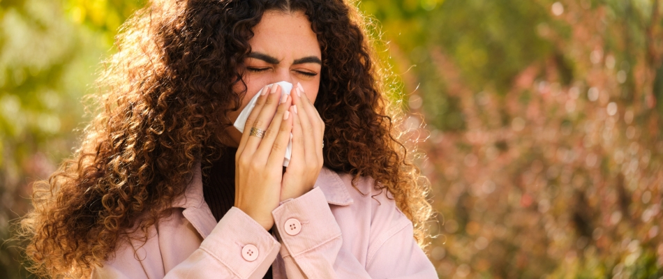 Un nouvel indice pollen - Minizap Nord-Isère