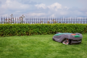 Une tondeuse automatique profitant de la vue après un travail bien fait.