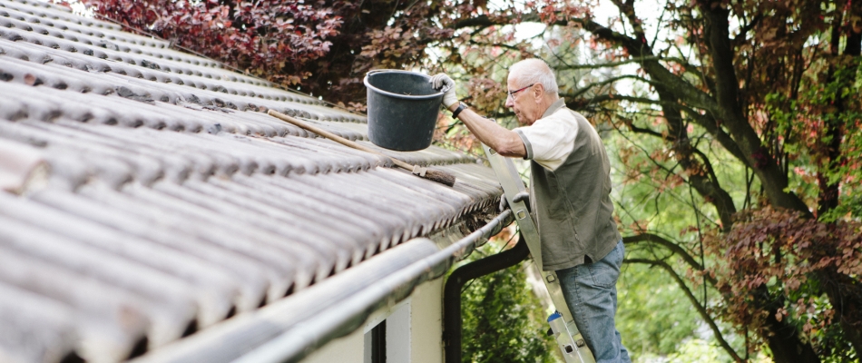 Pourquoi (et comment) nettoyer sa toiture ? - Minizap Nord-Isère