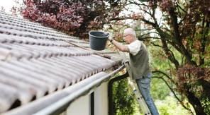 Pourquoi (et comment) nettoyer sa toiture ?