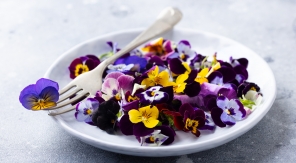 La violette, de la couleur dans l'assiette