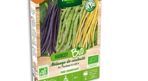 Trois nuances de haricots