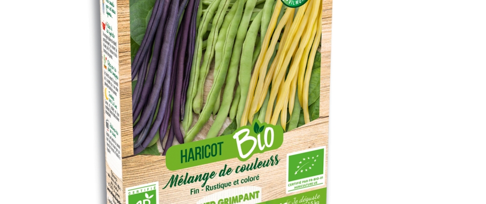 Trois nuances de haricots - Minizap Annecy