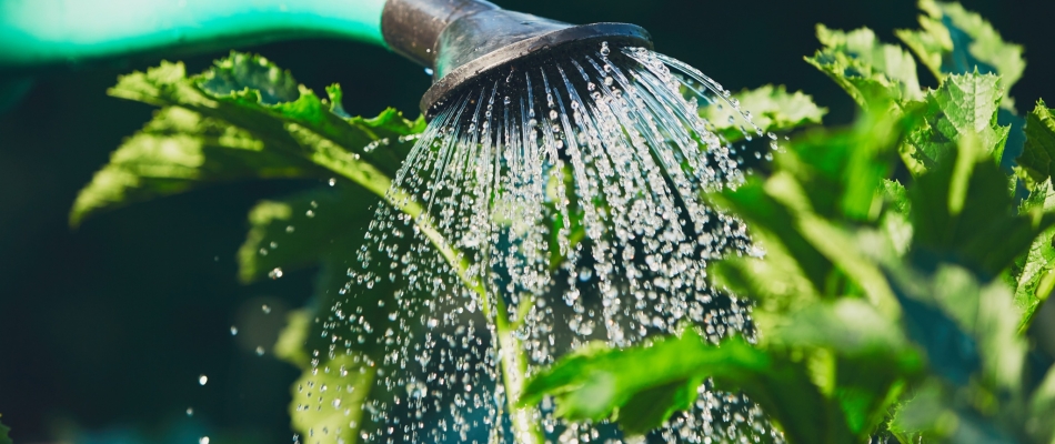 Stop au gaspillage de l'eau potable ! - Minizap Vallée de l'Arve