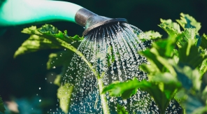 Stop au gaspillage de l'eau potable !
