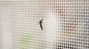Une moustiquaire amovible