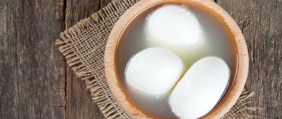 Mozzarella, recycler le petit lait - Minizap Chambery