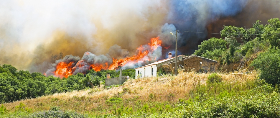 Habitation : comment être indemnisé des dégâts d'un feu de forêt ? - Minizap Chambery