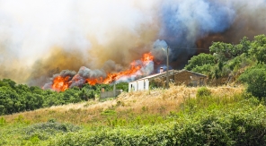 Habitation : comment être indemnisé des dégâts d'un feu de forêt ?