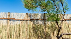 Un brise-vue pas cher, naturel et léger