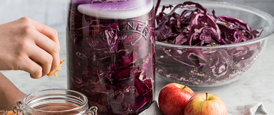 Un pack de lactofermentation - Minizap Nord-Isère