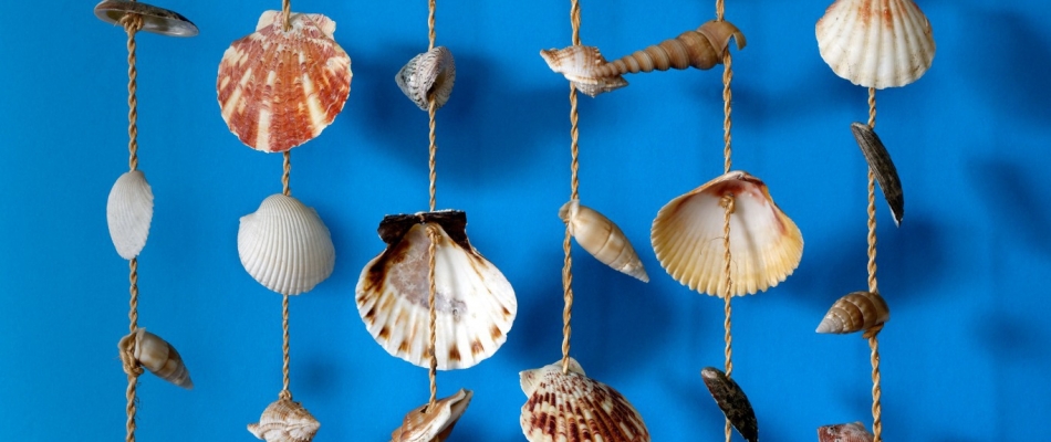 Un carillon en coquillages - Minizap Annecy