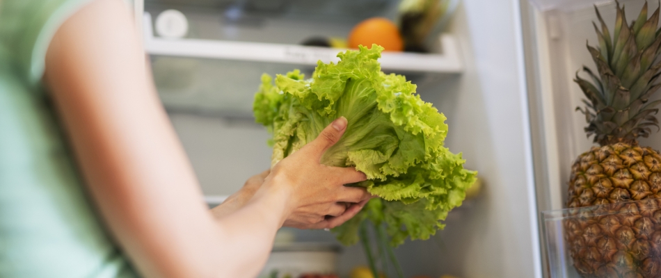 Une astuce pour prolonger la fraîcheur des salades - Minizap Annecy