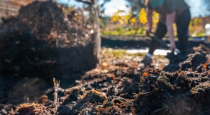 Sur le tas de compost, soufflez le chaud ou le froid