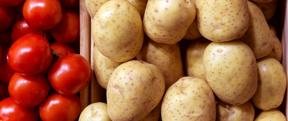 Qui de la patate ou de la tomate ? - Minizap Chambery