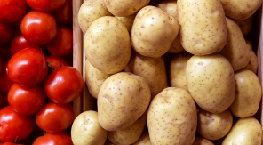 Qui de la patate ou de la tomate ?