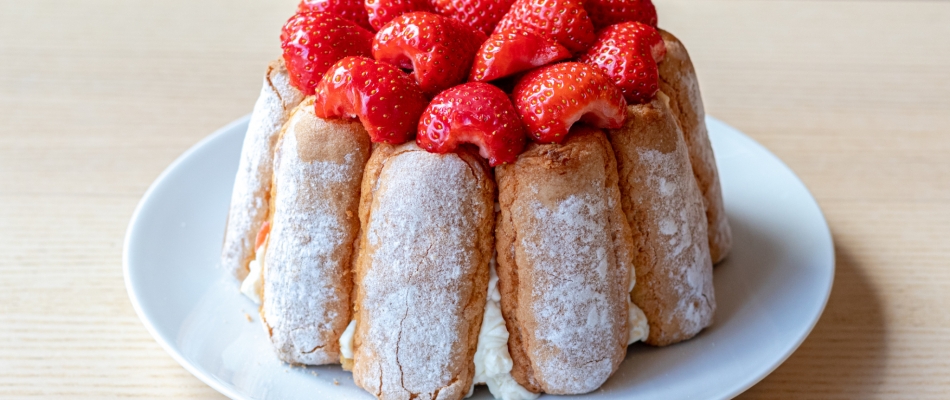 Le gâteau sans cuisson, mode d'emploi - Minizap Annecy