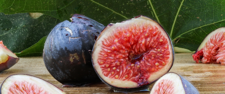Bien conserver les figues - Minizap Nord-Isère