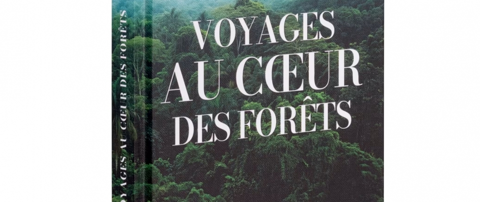 Découvrir les forêts et les protéger - Minizap Annecy