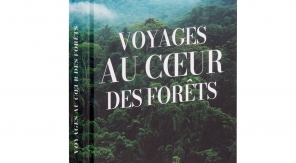 Découvrir les forêts et les protéger