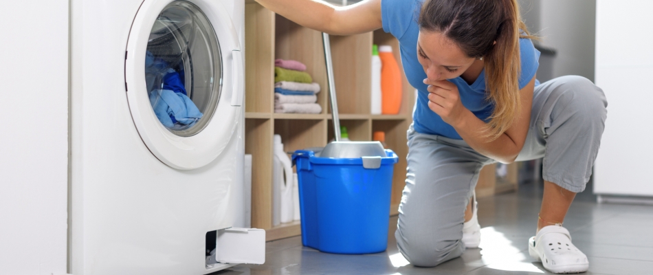 Vidanger un lave-linge - Minizap Pays Voironnais