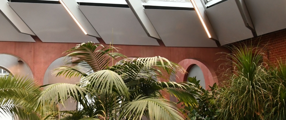 Le Jardin Minorelle de Marcq-en-Barœul - Minizap Pays Voironnais