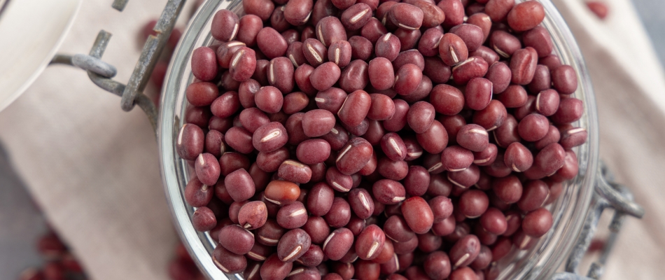 Azuki, le haricot japonais - Minizap Vallée de l'Arve