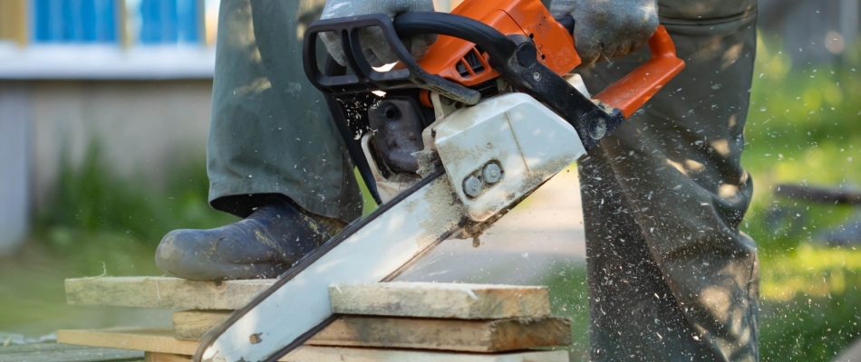 Coupez le bois, pas vous ! - Minizap Annecy