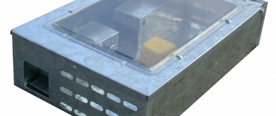 Une souricière de luxe - Minizap Annecy