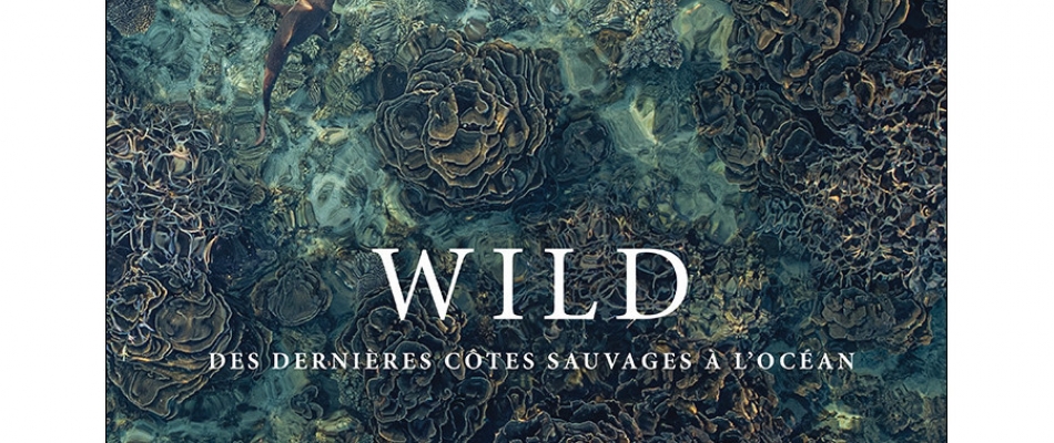 Portrait de la vie sauvage en mer - Minizap Pays Voironnais