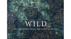 Portrait de la vie sauvage en mer