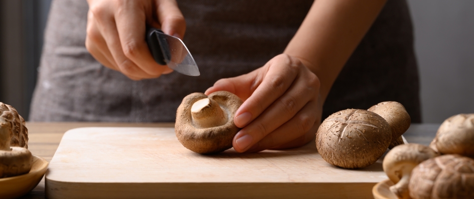 Le shiitaké, « l'élixir de vie » - Minizap Annecy