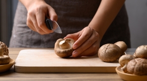 Le shiitaké, « l'élixir de vie »