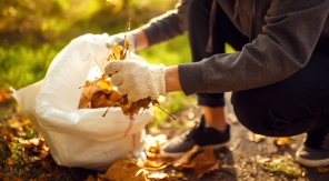 Qui doit ramasser les feuilles mortes de l'arbre du voisin ?