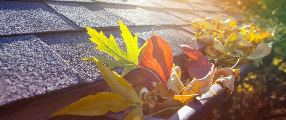 C'est le moment de nettoyer les gouttières ! - Minizap Annecy